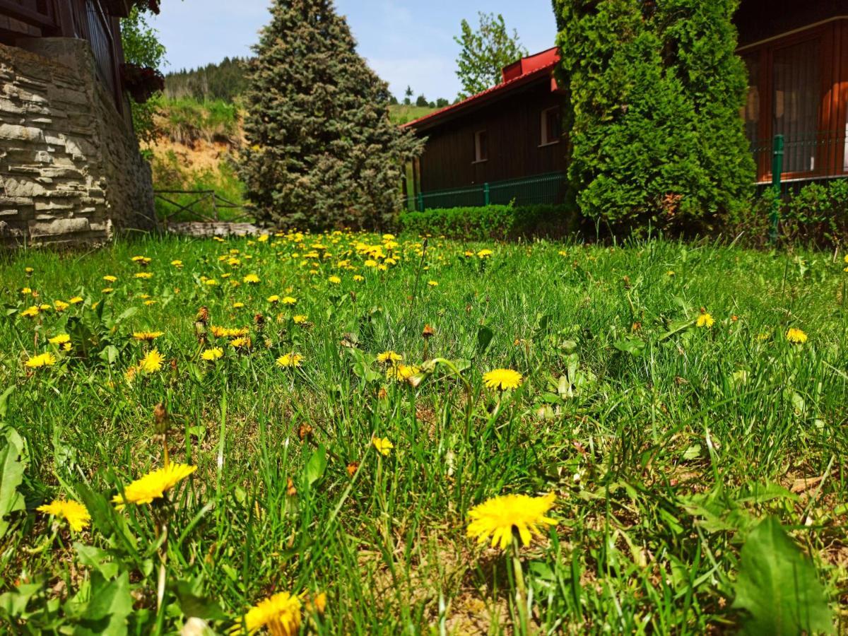 צ'פלארה Rodopi Houses מראה חיצוני תמונה
